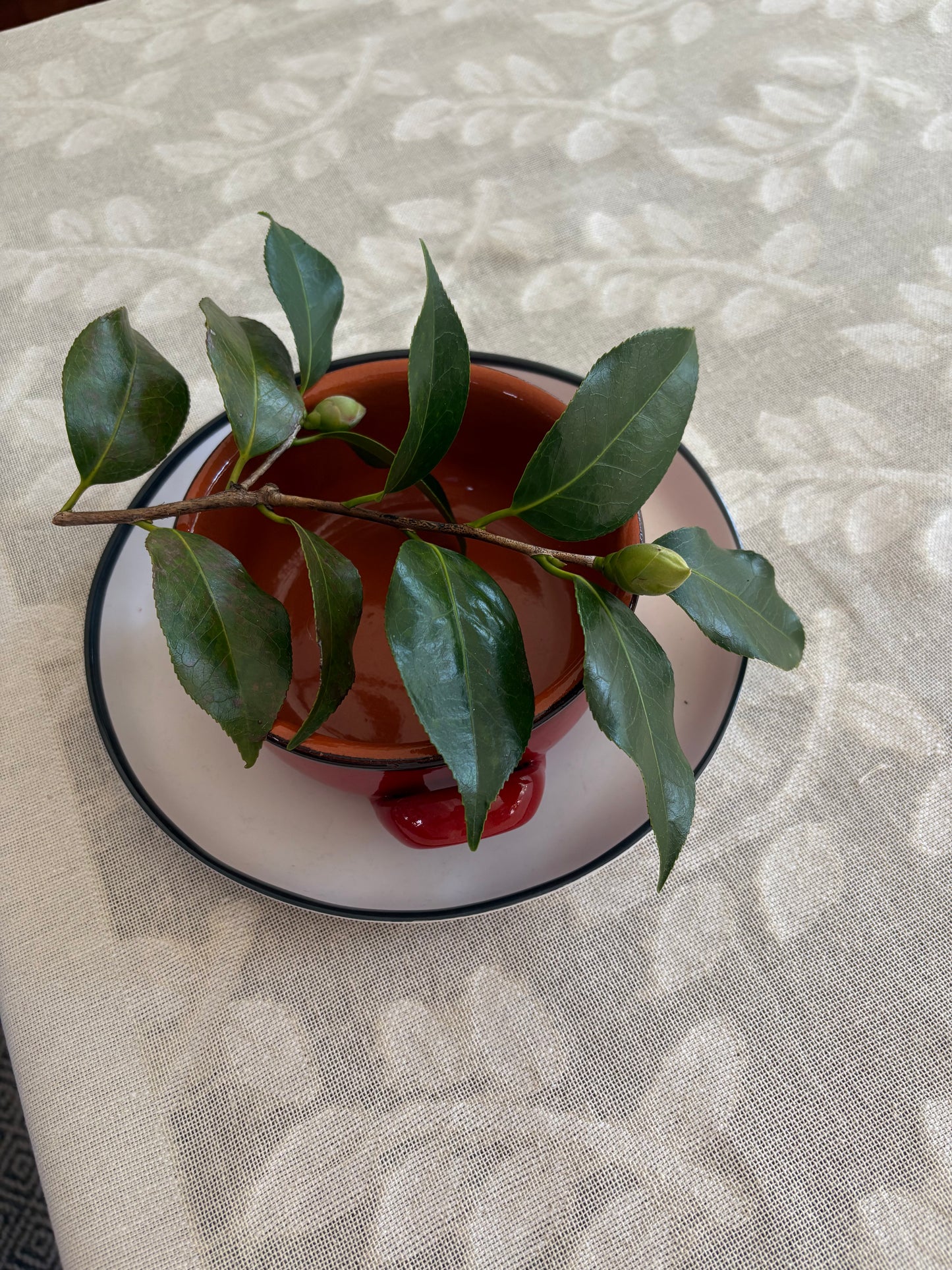 Table Cloth - Cotton - Olive Branch