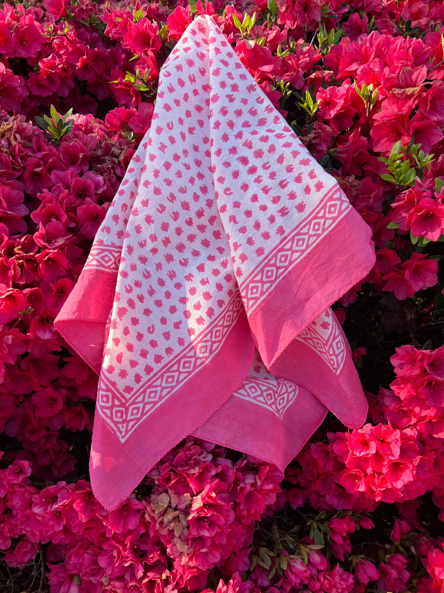 Bandana, Raspberry Ice
