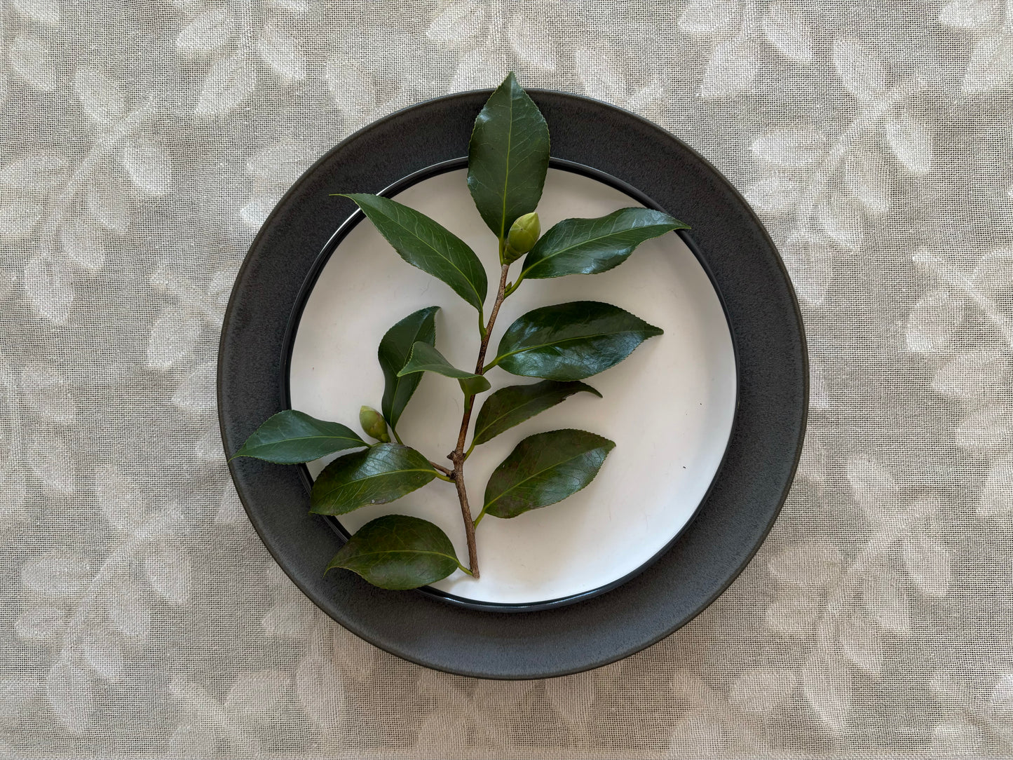 Table Cloth - Cotton - Olive Branch