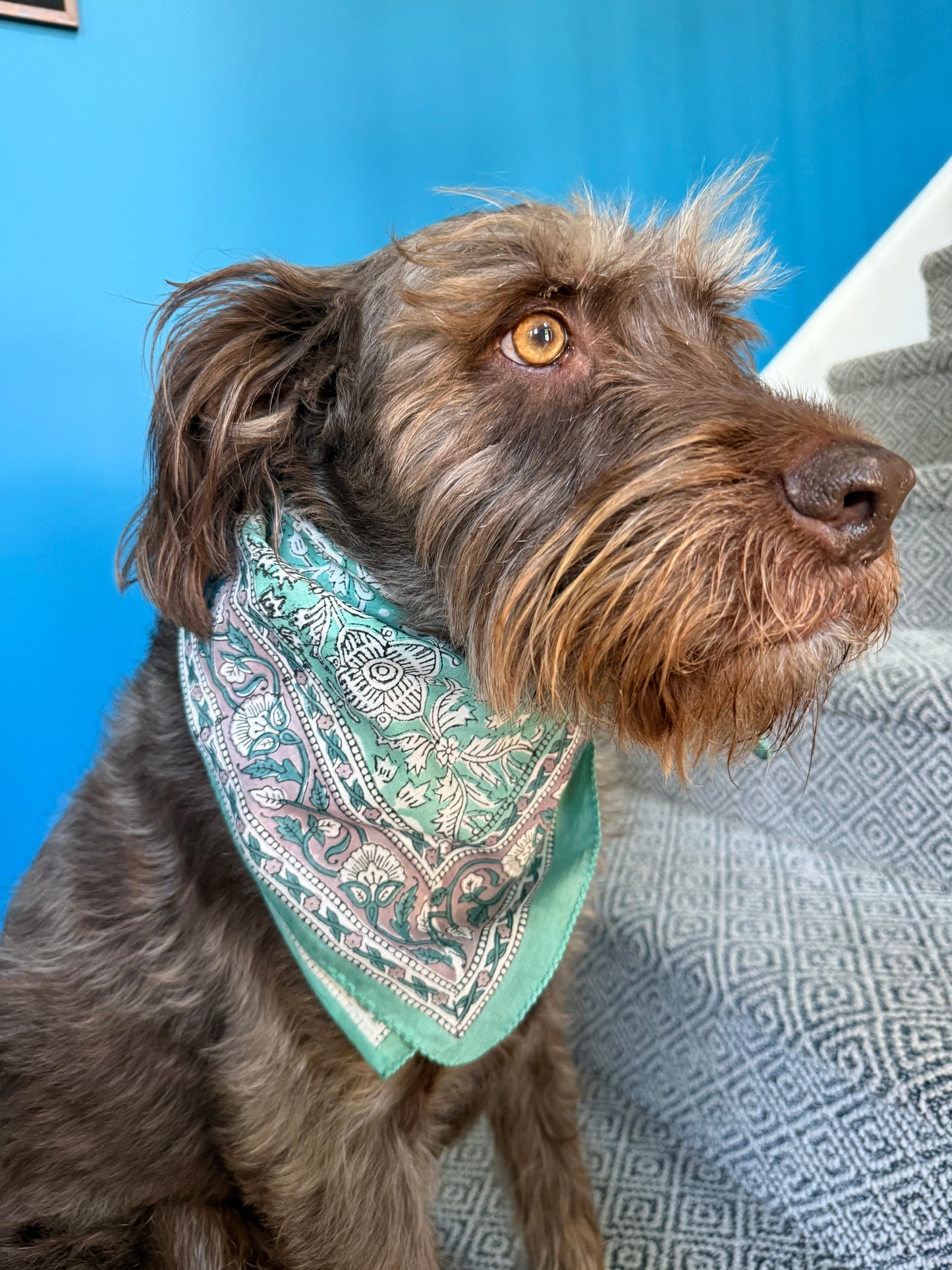 Bandana - Creme de Menthe